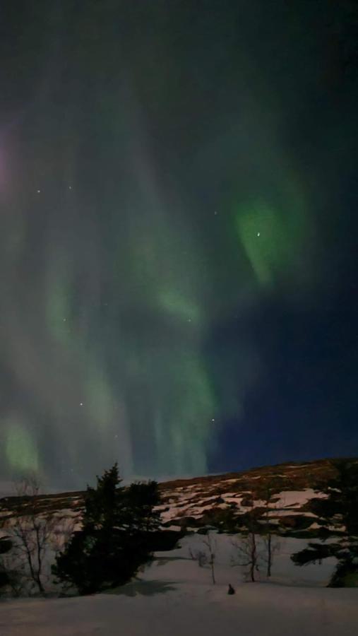 Steinhusith Hotel Holmavik Bagian luar foto